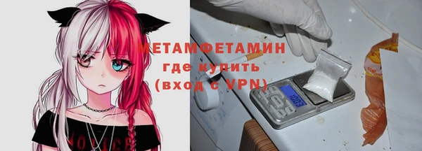 индика Богданович