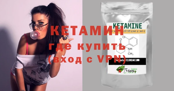 индика Богданович