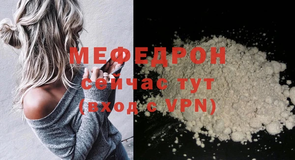 индика Богданович