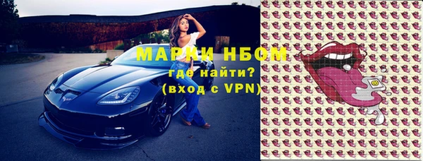 индика Богданович