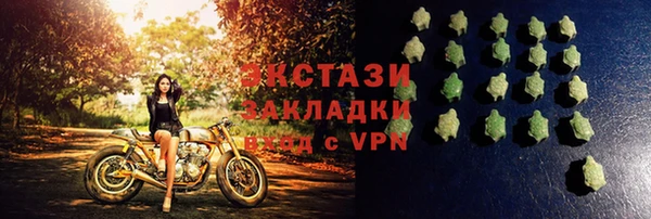 индика Богданович
